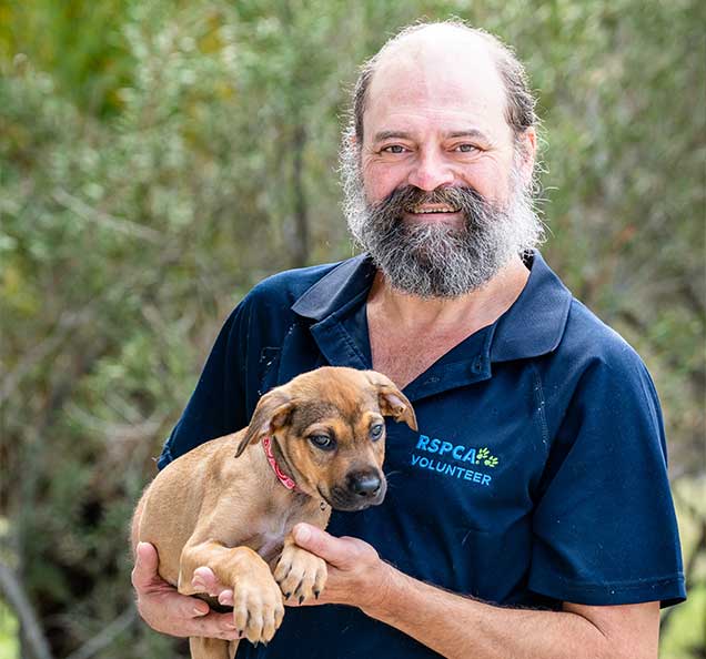 RSPCA Queensland volunteer John holds a puppy